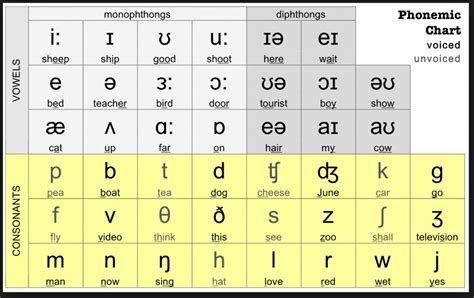 LOWER Pronunciation in English - Cambridge Dictionary