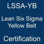 LSSA-YB PDF Demo