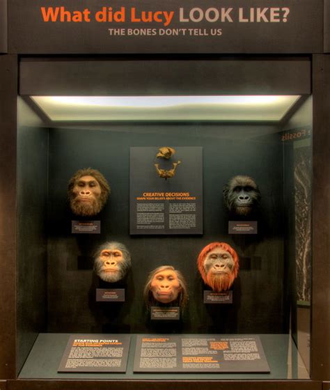 Lucy Exhibit "A" - Amos37 - wintechmobiles.com