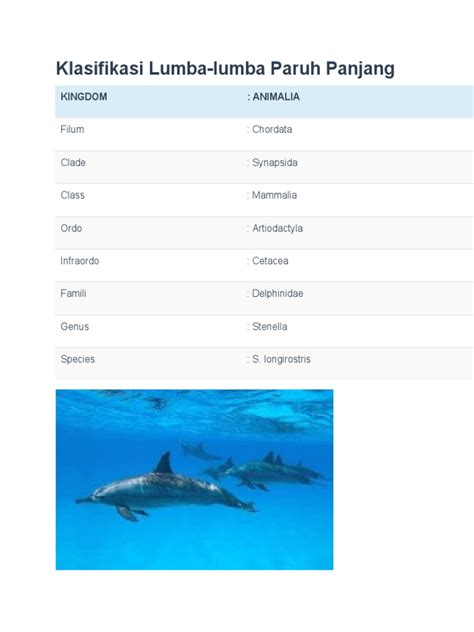 Lumba-lumba - Wikipedia bahasa Indonesia, … - muktibox.com