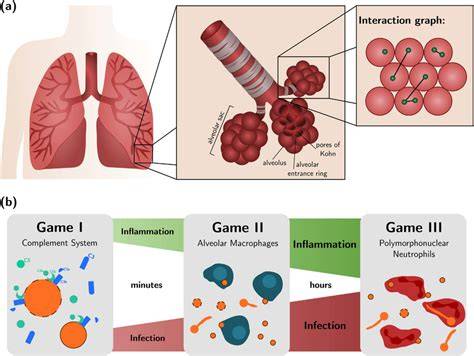 Lung architecture and design of evolutionary games. - raincitystudios.com