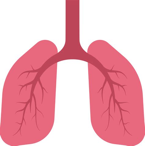 LUNG ICON PNG