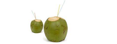 Lyons Farms – Green Coconut - raincitystudios.com