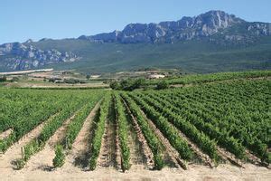 La Rioja region, Spain Britannica