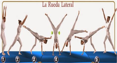La acrobacia en gimnasia artistica su tecnica y su didactica deportes. - Complete comptia a guide to pcs 6th edition.