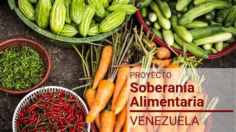 La agroecología en la soberanía agroalimentaria venezolana. - Seadoo 2009 rxt is 255 manual.