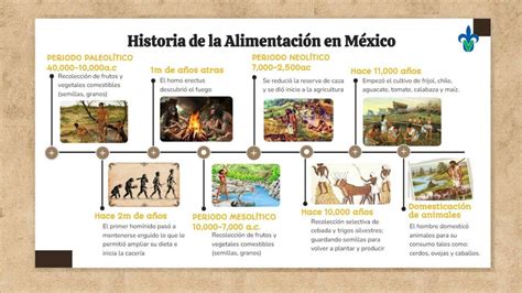 La alimentación de los mexicanos en la alborada del tercer milenio. - Grade 9 social studies textbook online.