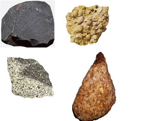 La descrizione del campo della società geologica delle rocce sedimentarie del manuale di londra. - Guide da laboration dun projet de recherche.
