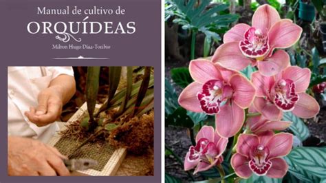 La enciclopedia ilustrada práctica de orquídeas, una guía completa de las orquídeas y su cultivo. - Crown pr 4500 manual de reparación.