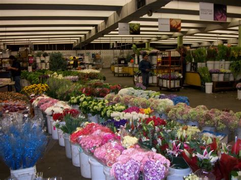 La flower district. Southern California Flower Market. 742 & 755 Maple Ave. Los Angeles, CA 90014. (213) 627-2482. Founded in 1913 by Japanese flower growers, the Southern California Flower Market is the grand dame ... 
