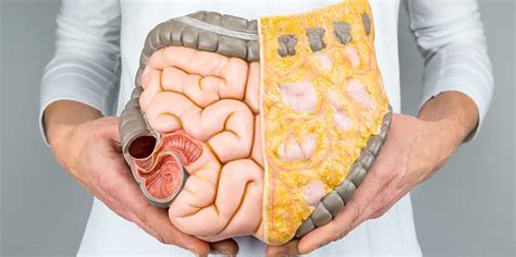 La grasa abdominal oculta está relacionada con la inflamación cerebral y la demencia, según un estudio