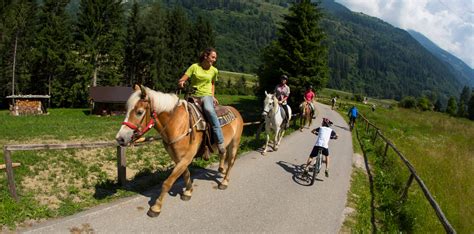 La guida alternativa alle vacanze a cavallo in europa. - The complete idiot s guide to las vegas the complete.