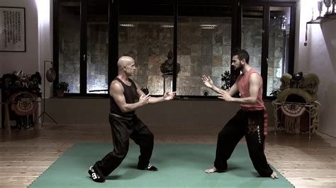 La guida completa agli stili di combattimento del kung fu. - Manuale di istruzioni per yamaha virago xv750.