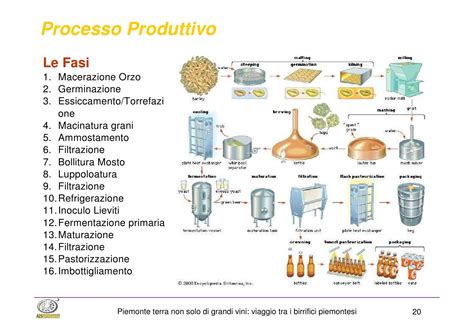 La guida completa alla produzione di idromele nei processi di attrezzatura degli ingredienti. - La musique et le public de demain.