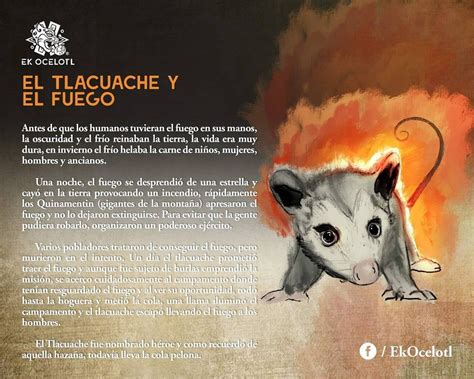 La historia del Tlacuache y el fuego - Nahualcalli