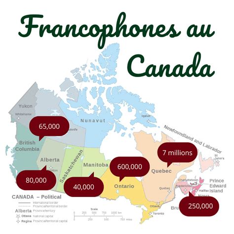 La langue française et les petits canadiens français de l'ontario. - Respironics everflo concentrator service manual 2015.
