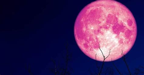 La luna de fresa iluminará el cielo este fin de semana. Te contamos dónde podrás verla y cuáles serán los próximos fenómenos astronómicos