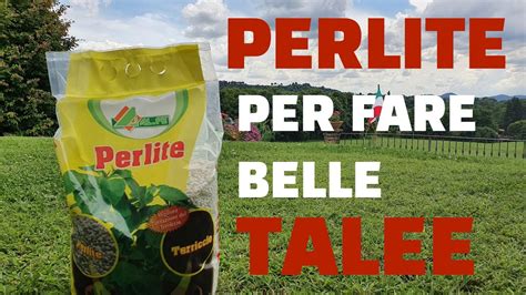 La perlite per fare delle belle talee - YouTube