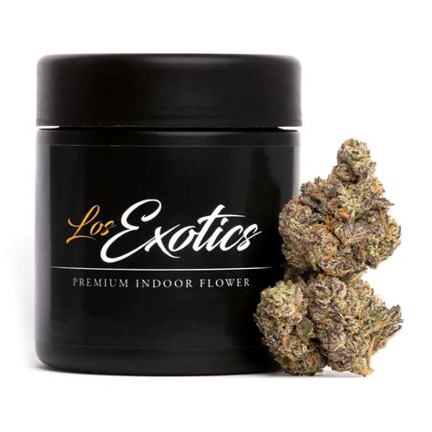 LA Pop Rockz is a sweet and fruity cannabis strain. An Indica dominant hybrid that consumers say enhances creativity and uplifts their mood, making it a highly sought-after …. 