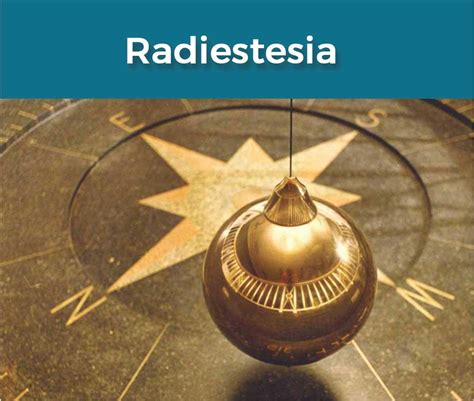 La scienza e l'arte del pendolo un corso completo di radiestesia. - Formula renault 2 0 2004 manual.
