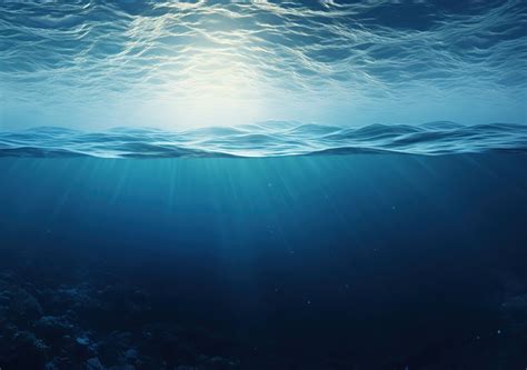 La vida en la “zona crepuscular” del océano podría desaparecer debido a la crisis climática