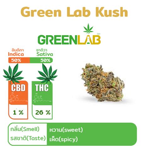 Lab Kush
