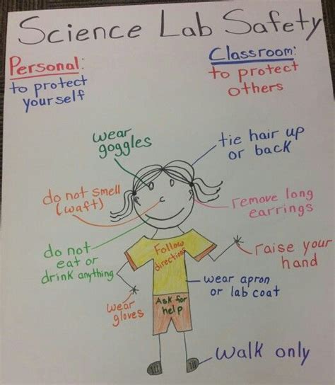 Lab Safety Anchor Chart