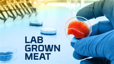 Lab grown. In Alabama, an effort to ban lab-grown meat is winding its way through the State House in Montgomery. There, state senators have already passed a bill that would make … 