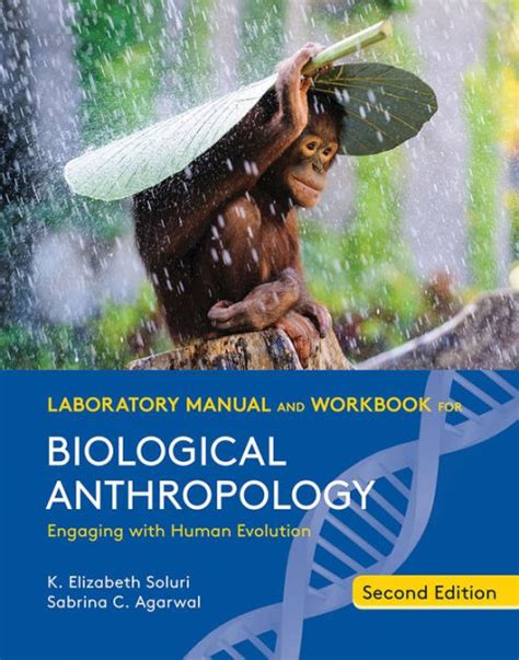 Lab manual and workbook for physical anthropology. - Gehl v270 v270 eu v330 v330 eu sollevamento manuale skid steer loader manuale delle parti.