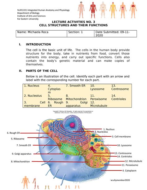 Lab manual questions on cell structure. - Study guide for knight in rusty armor.