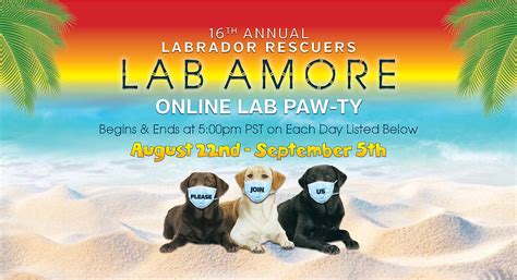 Labs and More Dog Rescue is San Diego’s fastest growing and most active dog rescue organization. Since our inception, Labs and More Rescue, has been Volunteer-run and is committed to saving dogs from our shelter …. 