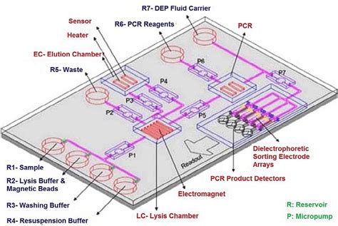 Lab-on-a-chip: a component view SpringerLink