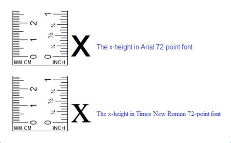 Label Font Size Conversion Guide and Labeling Requirements