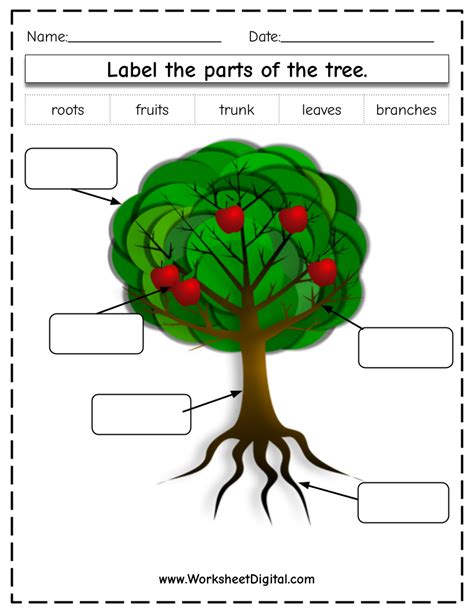 Label the Parts of a Tree Worksheet - (teacher made)