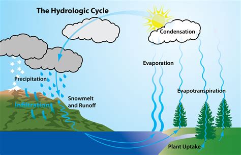 Labeled hydrologic cycle. The water cycle is often called a hydrologic cycle (hydro-water). There are several series of processes taking place within a single water cycle. When there is more heat in the atmosphere, the surface water from different water bodies raises up in its gaseous form. After that, it cools down and forms cloud droplets. 