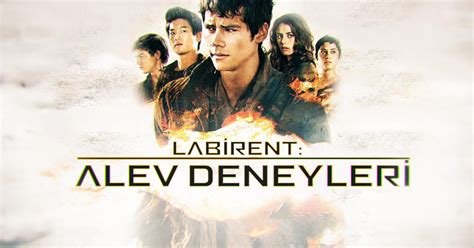 codini.rgarabwor.edu.pl. 