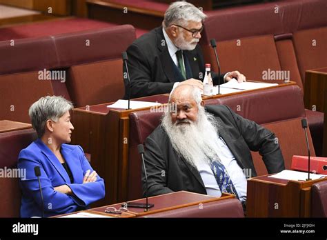 Labor Senators' Perspectives and Potential Influence