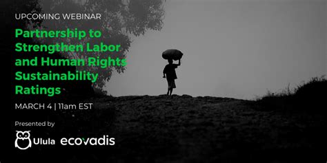 Labor and Human Rights in Supply Chains EcoVadis