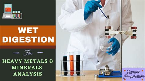 Laboratory manual of heavy metals analysis. - Introduction to chemical engineering computing solutions manual.