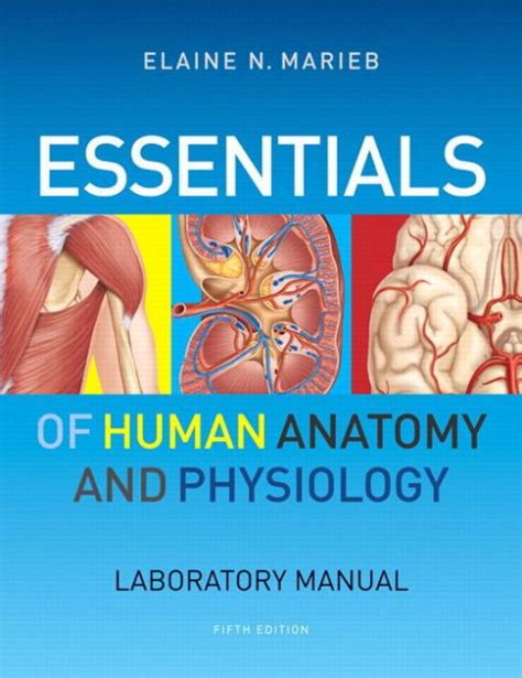 Read Online Laboratory Manual For Anatomy  Physiology By Elaine N Marieb