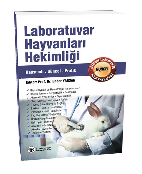 codini.rgarabwor.edu.pl. 