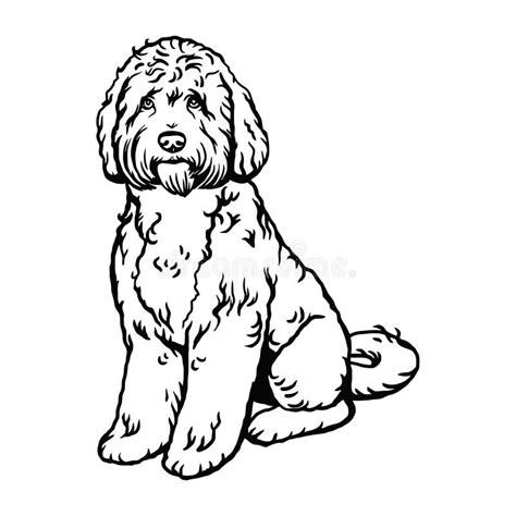 Labradoodle Puppy Clipart Black And White