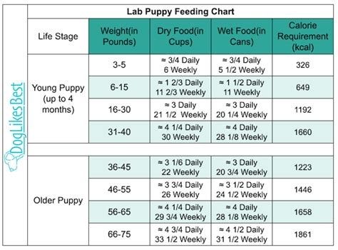 Labrador Retriever Feeding Chart
