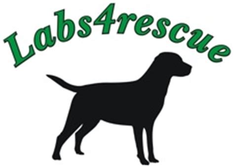 Labs4rescue - Labs4Rescue is a volunteer, 501(c)(3) non-profit organization dedicated to providing a new life for rescued or displaced Labrador Retrievers and Labrador Mixes. Our goal is to promote and advance responsible pet …