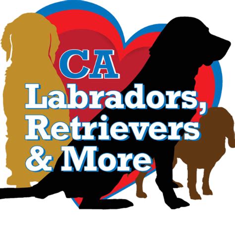 We will Rescue Labradors and Retrievers, Mixed and Pure Breed, Young and Old, and as we can other breeds in need. We will provide a soft bed, safety, medical care, training, and love to rehabilitate these amazing dogs giving them a new chance at life. We will partner with our Trainers, Veterinarians, Families and Volunteers so we can provide ... 