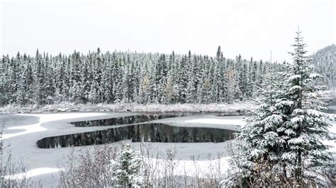 Lac Saint-Jean au Québec : Que voir en road trip autour du lac