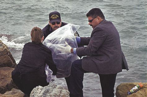 April 14, 2003, Laci Peterson's body found: Investigators found Laci Peterson's decomposed body washed ashore in San Fransico Bay. April 21, 2003, Scott Peterson arrested: Peterson was charged with the murder of Laci Peterson and her unborn son Connor. June 1, 2004, Scott Peterson murder trial begins: The criminal trial …