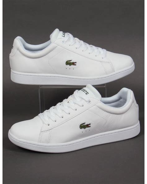 Lacoste carnaby