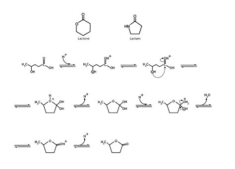Methods include Shiina macro-lactonization, nucleophilic abstraction and Yamaguchi esterification. Lactones like γ-nonalactone,γ-octalactone, γ-undecalactone, γ-decalactone can be synthesised in a single step process. Lactone- Reactions. The reactions of lactones are almost similar to the reactions of esters. Let’s have a look at some .... 