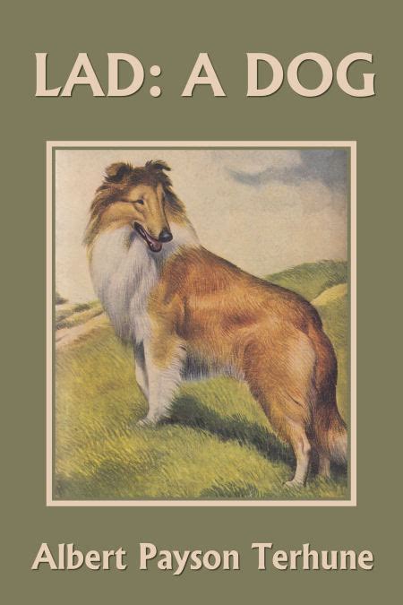 Download Lad A Dog By Albert Payson Terhune
